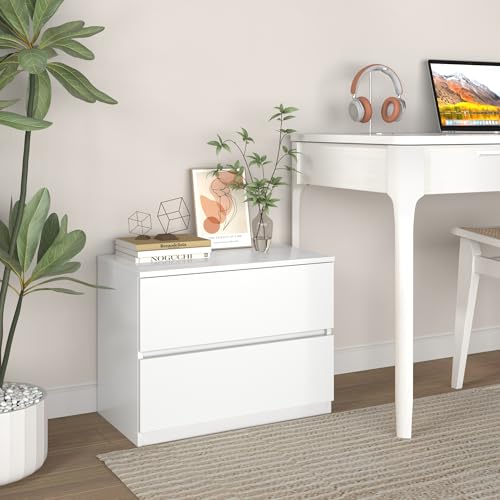 White 2 Drawer Dresser, Small Low Dressers for Closet, Bedroom Wood Short Nightstands, Bedside Table Storage Cabinet for Home Office, Hallway, Kitchen - color: White, size: 13.4"D x 23.6"W x 18"H (2 Drawers)