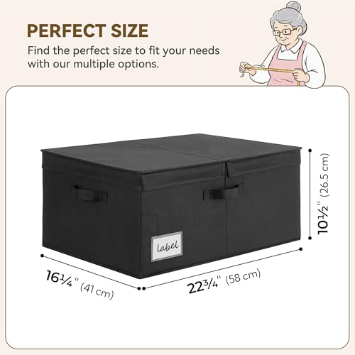 GRANNY SAYS Extra Large Storage Bins with Double-Open Lid, Closet Storage Boxes with Label, 63L Stackable Storage Organizer, Shelves Basket, Black, 2-Pack - color: Black, size: Extra Large - 2 Pack