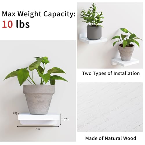 Fixwal Small Shelf for Wall, Rustic Wood Floating Wall Mounted Shelves for Bedroom, Living Room, Kitchen, Bathroom Decor, Set of 4, 5 x 5 Inches (White) - color: White