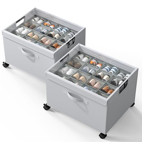HOUSE AGAIN Shoe Organizer for Closet, 2 Pack Foldable Shoe Storage Organizer Box with Wheels and Adjustable Dividers, Sturdy Metal Frame Fits up to 16-32 Pairs, Large Shoes Storage with Clear Cover - size: 2 Pack