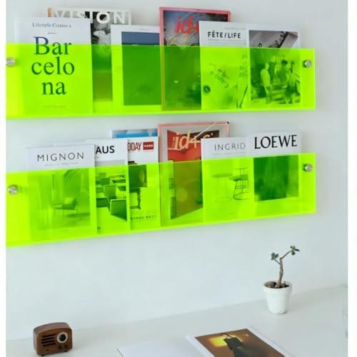 ROYALITA 2-Pack Acrylic Magazine Holder Brochure Holder, 36" Record Holder Magazine Rack, Fashion Hanging Bookshelf Literature Storage Rack for Waiting Room, Living Room, Office, Green, 36 Inch - color: Green, size: 36 Inch
