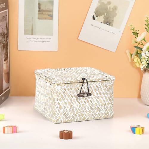 Hipiwe Wicker Shelf Baskets with Lid Handwoven Seagrass Storage Box Decorative Basket Bin Household Organizer Bin for Shelf Bathroom Coffee Table Decor Organizer, X-small - color: Whitewash color, size: X-small