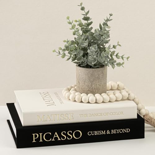 Set of 2 Linen Decorative Books with Hidden Storage – Chic Housewarming & Christmas Gift Idea, Monochrome Faux Book Box for Shelf and Coffee Table Decor (White & Black) - color: Ivory-Black