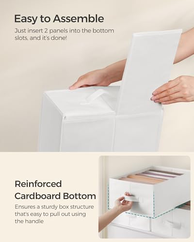 SONGMICS Set of 6 Large Size Wardrobe Clothes Organizers, 6-Compartment Foldable Drawer Organizers with Handles, 16.5 x 11.8 x 6.7 Inches, for Pants, Sweaters, Jeans, Cloud White URUS009W03 - color: Cloud White, size: 6 Pack