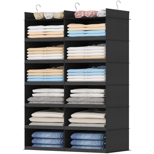 Lifewit Dual-Row Shelf Hanging Closet Organizer and Storage, Clothes Shelves with 3 Sturdy Hooks for Clothing Organization, Foldable Container Hold Up to 36 Sweaters, 6 Tier 12 Sections, Black - color: Black, size: 6-Tier