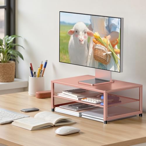 ECOLOVI 2-Tier Computer Monitor Stand Riser, Desk Organizer for Monitor, Printer & Laptop Stand, Desktop Workspace Organizers for Office Supplies(Rose Gold) - color: Rose Gold