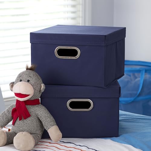 Household Essentials Fabric Storage Boxes with Lids and Handles, Blue - color: Navy, size: 2 Count