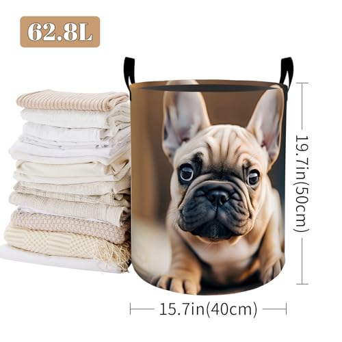 Realistic Cute Bulldog Laundry Basket, Foldable Oxford Cloth, Waterproof Dirty Clothes Hamper with Handles, Clothing Storage Bucket Toy Organizer for Bathroom Bedroom Dorm, 19.7"x15.7" - style: Bulldog 01
