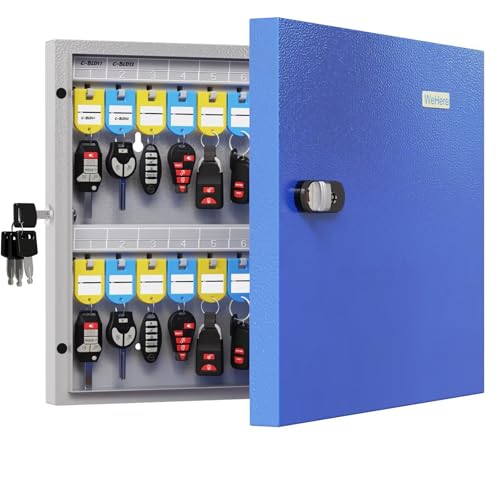 48 Key Lock Box – Wall Mounted Key Cabinet with Dual Lock (Key & 3-Digit Combination), Key Organizer for School, Office Entryway & House Keys, Includes Key Tags - size: 48 Keys(Basic)