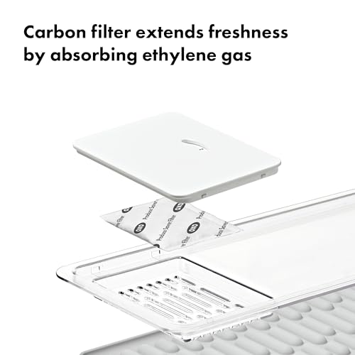 OXO Good Grips Produce Saver Bin with Filter - style: Produce Saver Bin