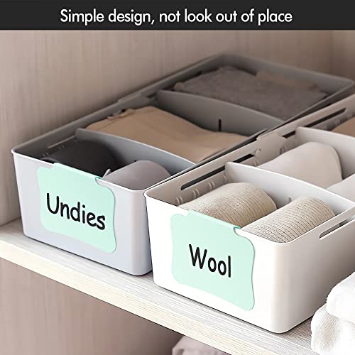12PCS Basket Labels Clip On for Storage Bins, Removable & Erasable Bin Labels Clips On, Laundry Kitchen Pantry Labels for Organizing Baskets Cube Box (Green) - color: Green-12pcs