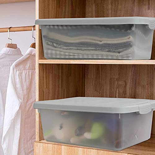 14 Quart Plastic Storage Box, Clear Storage Bin with Lid, 2 Packs - color: Grey