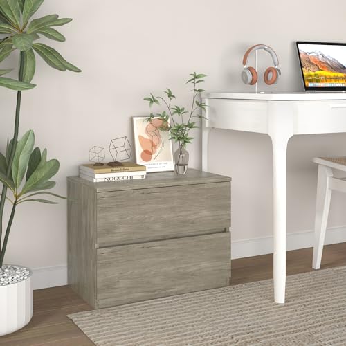 2 Drawer Small Dresser, Low Gray Dressers for Closet, Bedroom Wood Short Nightstands, Bedside Table Storage Cabinet for Home Office, Hallway, Kitchen, Grey Oak - color: Grey Oak, size: 13.4"D x 23.6"W x 18"H (2 Drawers)