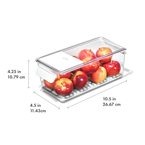 OXO Good Grips Produce Saver Bin with Filter - style: Produce Saver Bin