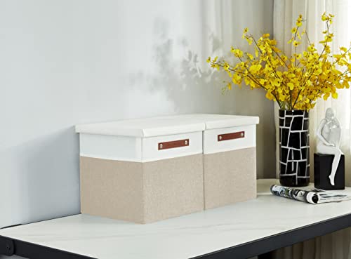 DECOMOMO Storage Basket with Lid, Storage Cubes with Handles, Fabric Box with Lid (Beige and White, 13” / 3 Pack) - color: Beige and White, size: Cube 13"
