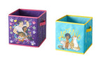 Disney Encanto Set of Two Spacious Collpasible Storage Cubes, 10"x10" - color: Encanto