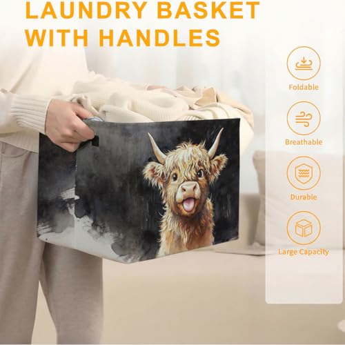 56L Highland Cow Print Laundry Basket Clothes Hamper with Handles,Foldable Blanket Storage Large Laundry Hamper with Waterproof,Toy Storage Bin Organizer,Cube Clothes Organizer,Home Decor - color: Highland Cow