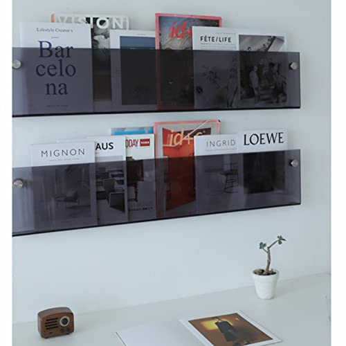 ROYALITA 2-Pack Acrylic Magazine Holder Brochure Holder, 17" Record Holder Magazine Rack, Fashion Hanging Bookshelf Literature Storage Rack for Waiting Room, Living Room, Office, Gray, 17 Inch - color: Grey, size: 17 Inch