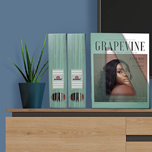 Acrimet Magazine File Holder Bin Storage, Vertical Rack for Documents, Folders and Mail, Durable Plastic Desk Organizer for Office & Home (Clear Green Color) (2 Pack) - color: Clear Green