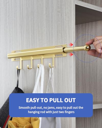 BaiNong 12 inch Valet Rod for Closet Pull Out Closet Valet Rod Slide Out Gold Valet Rods for Closets Telescopic Closet Rod - color: Gold, size: 12 Inch