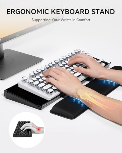 Laborio Computer Keyboard Stand with Storage Box, Keyboard Riser Wrist Rest for Desktop, Office Desk Organizer Accessories(Clear Black) - color: Black