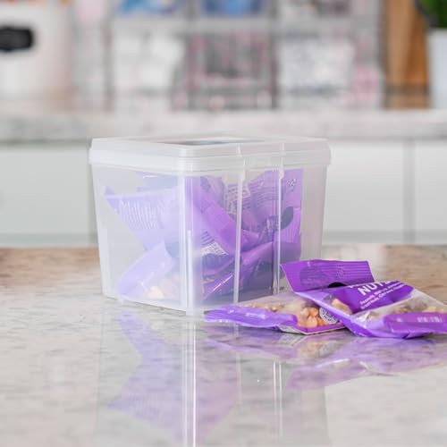 IRIS USA Vertical Plastic Flip Top Storage Containers Bins with Lids for Pantry, Home, Office, Organization, Small, Stackable Hinged Organizer with Latches, Clear, 10 Pack - size: Small - 10 Pack