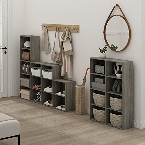 Furinno Luder Bookcase / Book / Storage, French Oak - color: French Oak, size: 2-Tier, 9 x 16 x 21