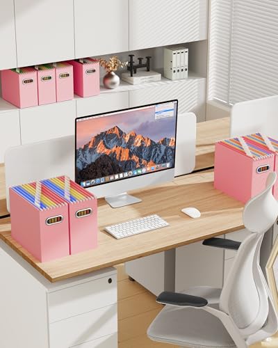 Oterri File Organizer Box, Portable Collapsible Cardboard File Folder Organizer with Handle for Letter Size Hanging Files, Document Storage Box for Home Office & Classroom (2 Packs, Pink) - color: Pink, size: Letter Size - 2 Packs