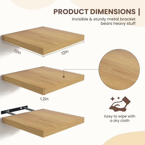 Fun Memories Floating Shelves for Wall - 12 Inch Square Shelves with Invisible Brackets, Small Wall Shelf for Living Room, Bathroom, Bedroom, and Kitchen Decor Set of 3 - color: Oak, size: 12"W x12"D - 3P