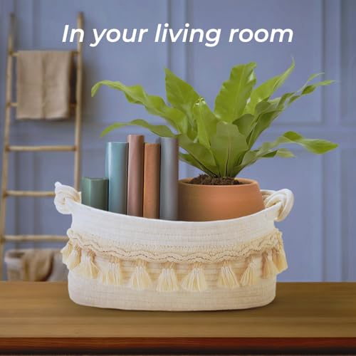 CSC - Toilet Paper Basket, Bathroom organizer, woven rope basket, Tank Top Small Baskets, tank topper, White