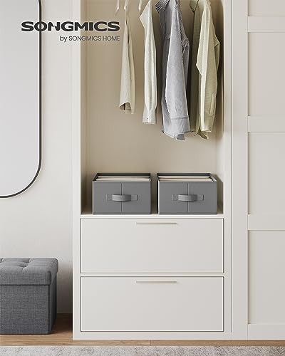 SONGMICS Set of 2 Large Size Wardrobe Clothes Organizers, 6-Compartment Foldable Drawer Organizers with Handles, 16.5 x 11.8 x 6.7 Inches, for Pants, Sweaters, Jeans, Dove Gray URUS009G02 - color: Dove Gray, size: 2 Pack