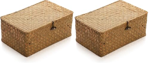 Yesland Handwoven Seagrass Rattan Storage Basket - 11.5'' x 7.5'' x 5'' - Brown Rectangular Makeup Organizer Container with Lid, Perfect for Decoration, Picnic, Groceries and Toy Storage (Pack of 2) - size: 11.5'' x 7.5'' x 5'' (Pack of 2)