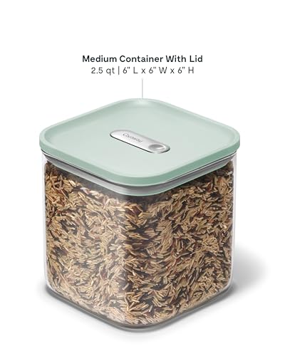 Caraway 2.5qt Glass Airtight Food Storage Container with Lid – Non-Toxic, BPA-Free Kitchen Storage Container – Stackable, Space-Saving Airtight Container for Dry Goods and More - Mist - color: Mist, size: 2.5qt Container
