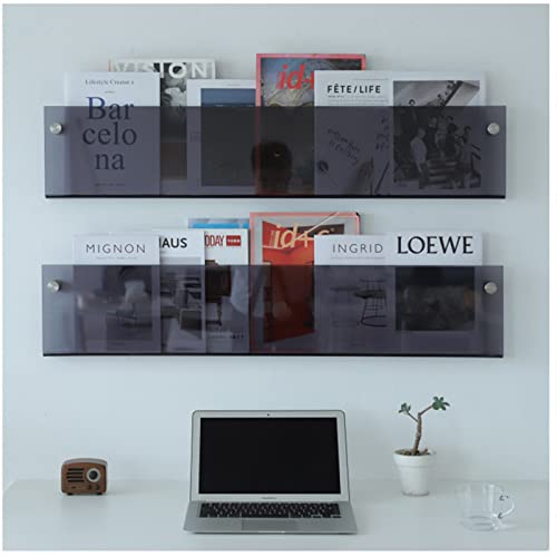 ROYALITA 2-Pack Acrylic Magazine Holder Brochure Holder, 17" Record Holder Magazine Rack, Fashion Hanging Bookshelf Literature Storage Rack for Waiting Room, Living Room, Office, Gray, 17 Inch - color: Grey, size: 17 Inch