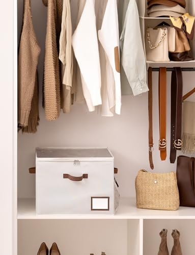 StorageWorks Shoe Organizer for Closet, Shoe Storage Bins with Clear Lid, Fabric Shoe Boxes with Side Mesh Pockets, Closet and Storage Bins for Slippers and Flats, Holds Up to 16 Pairs, Beige - color: Beige, size: Medium-1 Pack