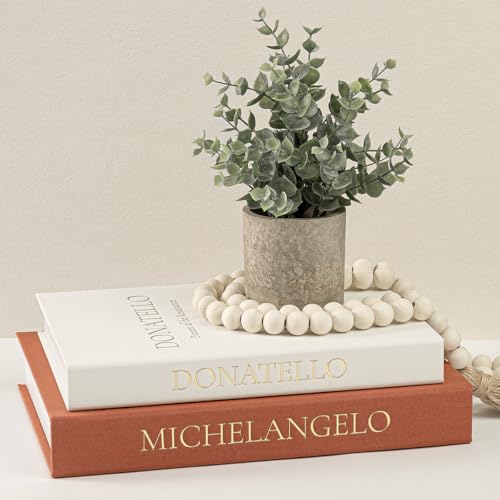 Aesthetic Faux Books for Home Decor (Set of 2) - Decorative Book Boxes with Hidden Storage - Ideal for Coffee Table, Living Room, Entryway & Bookshelf - Beige/Terracotta Linen - color: Beige-Terracotta