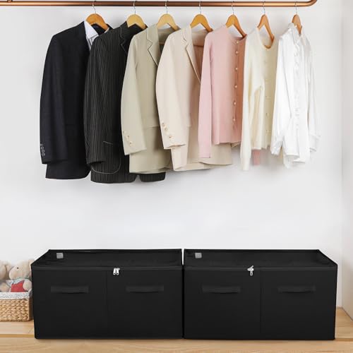 TOPIA HOME Shoe Organizer for Closet 2 Pack, Foldable Shoe Box with Adjustable Divider and Clear Cover, Space Saving Shoe Storage Organizer Cabinet with Reinforced Handles, Fits 40 Pair, Black, TP11B - color: Black-2Pack, size: Extra Large(26.5''L x 16.54
