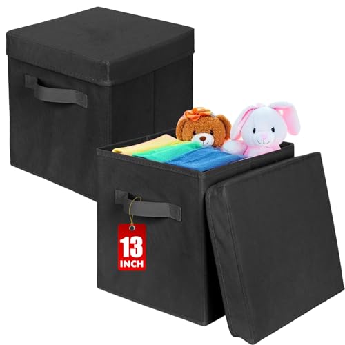 ShellKingdom Storage Bins, Foldable Fabric Storage Cubes with Lid, Clothes Storage Organizer Drawer For Closet Toys Storage, 13 X 13 X 13 INCH, 2 Pack (Black) - color: Black, size: 13 inch (2 Pack)
