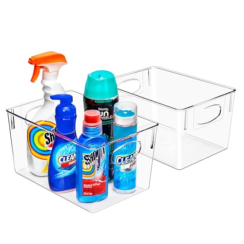 Sorbus 2 Pack Large Clear Plastic Storage Bins, Clear Organizer Bins with Handle for Kitchen, Pantry, Cabinet, Refrigerator, Craft, Toys, Clothes, Closet, Under Sink, Bathroom Organizers and Storage - size: Large, style: 2 Pack