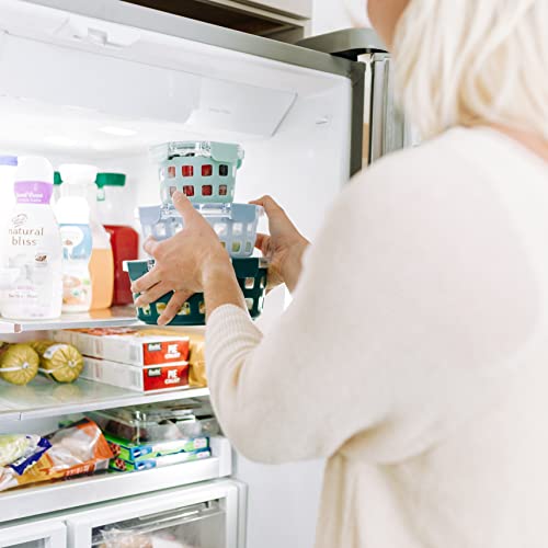 Ello Duraglass Mixed Meal Prep Sets Leak-Proof Glass Food Storage Containers with Silicone Sleeves and Airtight BPA-Free Lids, Dishwasher, Microwave, and Freezer Safe - color: Melon Mixed