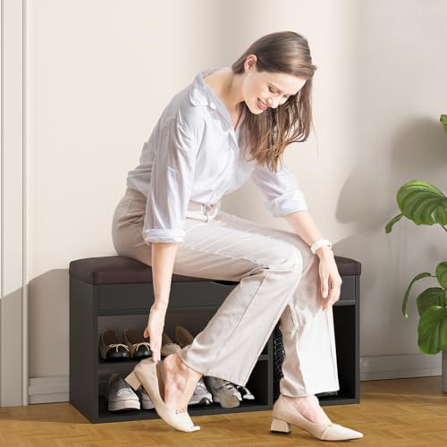 Apicizon Entryway Bench with Shoe Storage, Black, 2-Tier Shoe Rack, Padded Cushion, Wooden Frame - color: Black, size: 31 Inch