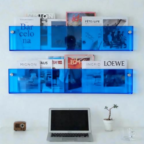 ROYALITA 2-Pack Acrylic Magazine Holder Brochure Holder, 36" Record Holder Magazine Rack, Fashion Hanging Bookshelf Literature Storage Rack for Waiting Room, Living Room, Office - color: Blue, size: 36 Inch