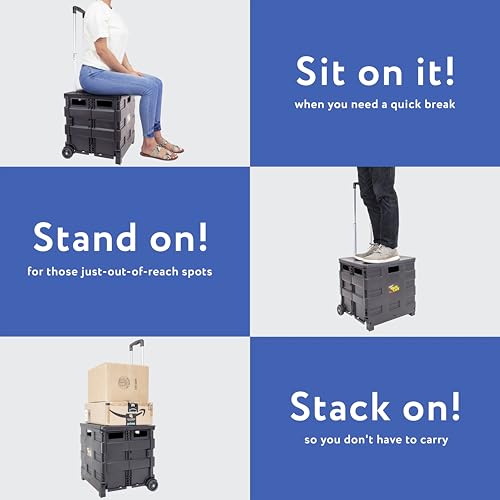dbest products Quik Cart Collapsible Rolling Crate on Wheels for Teachers Tote Basket 80 lbs Capacity, Made from Heavy Duty Plastic Used as a Seat, Black - color: Black, style: Standard