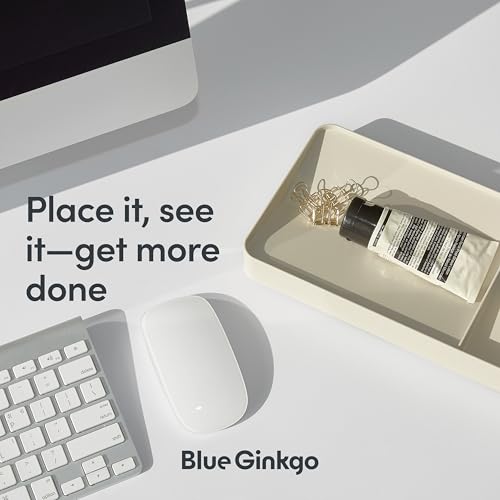 BLUE GINKGO Desk Tray – Korean-Made Organizer for Notes, Pens, Pencils, and Accessories (Double-sided, Beige) - color: BEIGE, size: TRAY