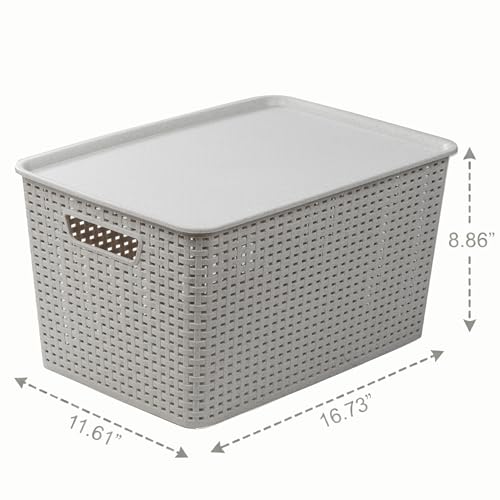 BINO | Plastic Storage Baskets with Lids, 22 Liter - 3 Pack, Natural Grey | THE WOVEN COLLECTION | Storage Basket for Shelves | Woven Storage Baskets for Organizing Bins | Pantry Shelf Organizer Bin - color: Natural Grey, size: 22L | 3-Pack