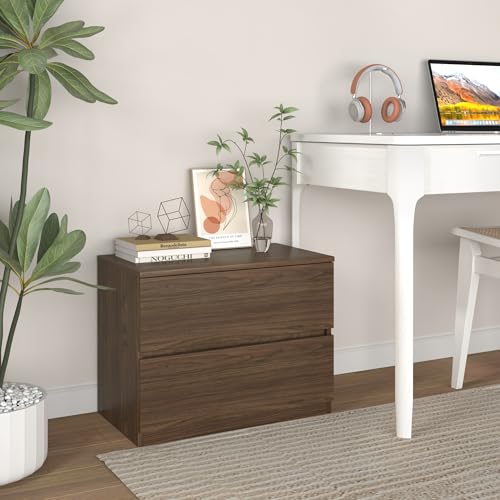 2 Drawer Dresser Chest, Small Low Dressers for Closet, Bedroom Wood Short Nightstands, Bedside Table Storage Cabinet for Home Office, Livingroom, Hallway, Kitchen, Classic Oak - color: Classic Oak, size: 13.4"D x 23.6"W x 18"H (2 Drawers)