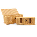 Cable Management Box - 2 Pack Cord Hider Organizer Boxs - Small & Medium Szie Power Cover Cord Box, Handwoven Rattan Cable Organizer for TV Computer USB Hub Power Strips & Cords