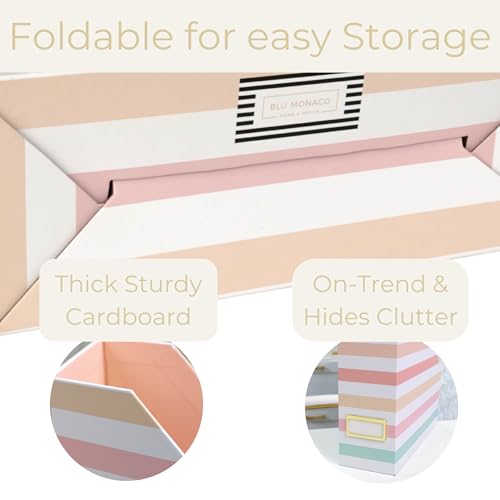 BLU MONACO | Cardboard Magazine File Holder Set of 4 | Vertical Magazine File Holder with Gold Label Slots | Standing File Holder and Cardboard Bins for Shelves Desk Classroom - color: Pastel Stripes