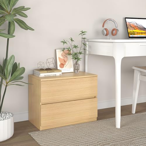 2 Drawer Dresser Chest, Small Oak Dressers for Closet, Bedroom Wood Short Nightstands, Bedside Table Storage Cabinet for Home Office, Livingroom, Hallway, Kitchen - color: Oak, size: 13.4"D x 23.6"W x 18"H (2 Drawers)