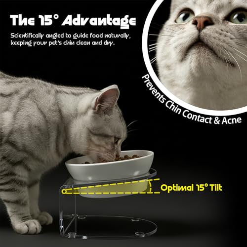 LivLab Mker Raised Cat Bowl, Elevated Cat Food Bowls with Stand - 15° Tilted Shallow Cat Dish for Whisker Fatigue Relief, 4.5" Height for Easy Feeding, Lead & Cadmium Free Melamine Bowl, White - color: White